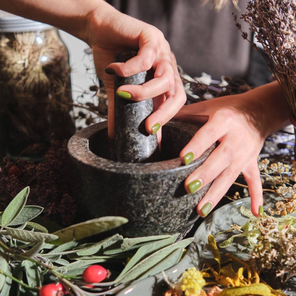 phytotherapie-pharmacie-de-la-montagne